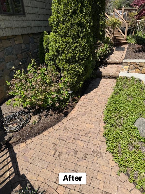 Driveway and Sidewalk Cleaning