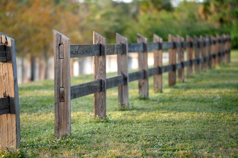 Fence Installation
