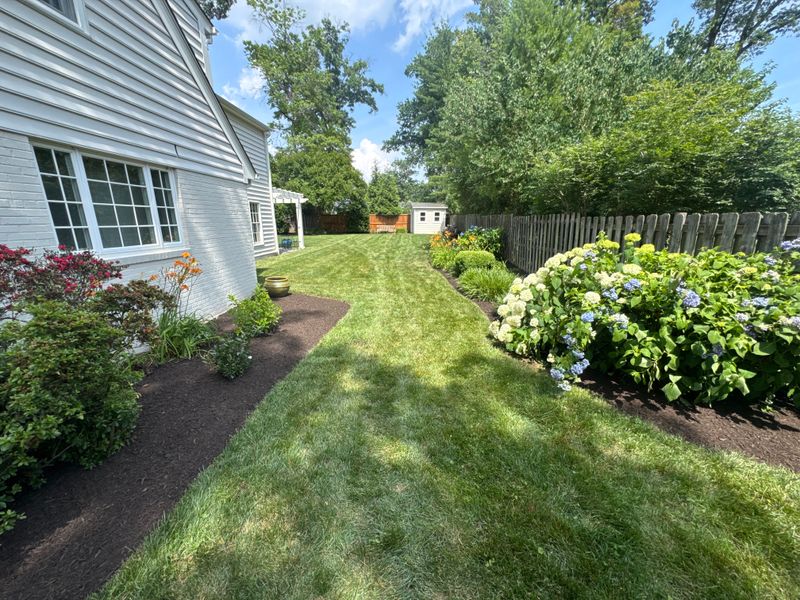 Lawn Care & Maintenance