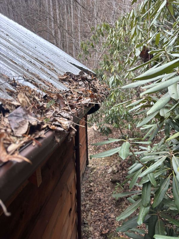 Gutter Maintenance