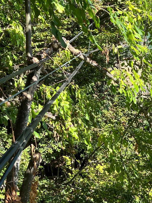 Communication Line Repairs