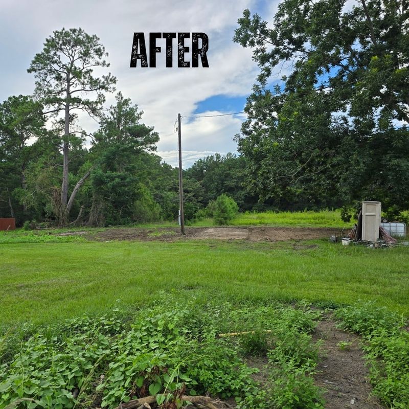 Land Clearing