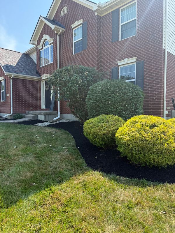 Mulch Installation