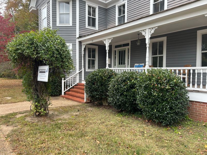 Shrub & Plant Trimming 