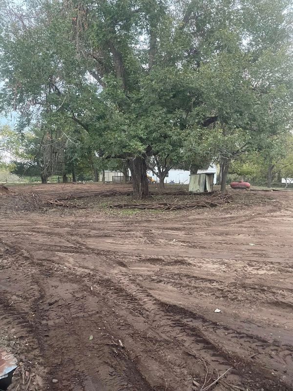 Land Clearing