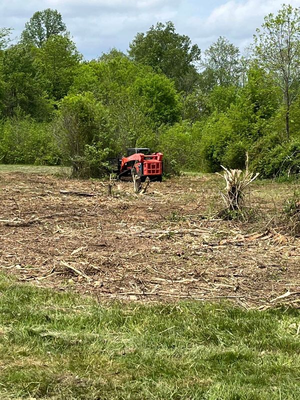 Land Clearing