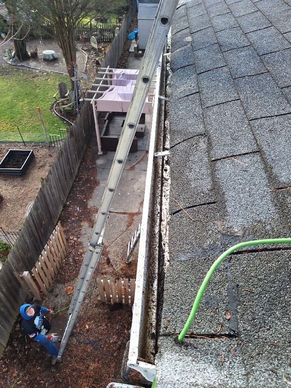 Roof Cleaning