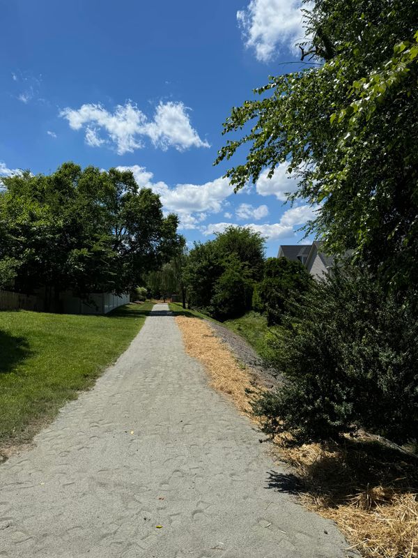 Landscaping