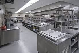 Commercial Pest Control