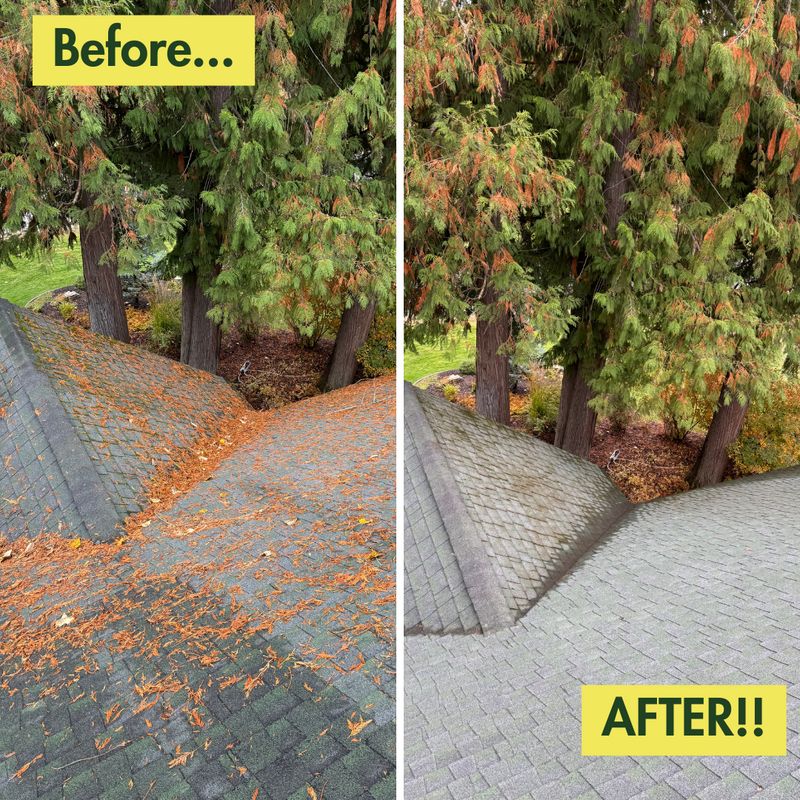 Before & After Photos