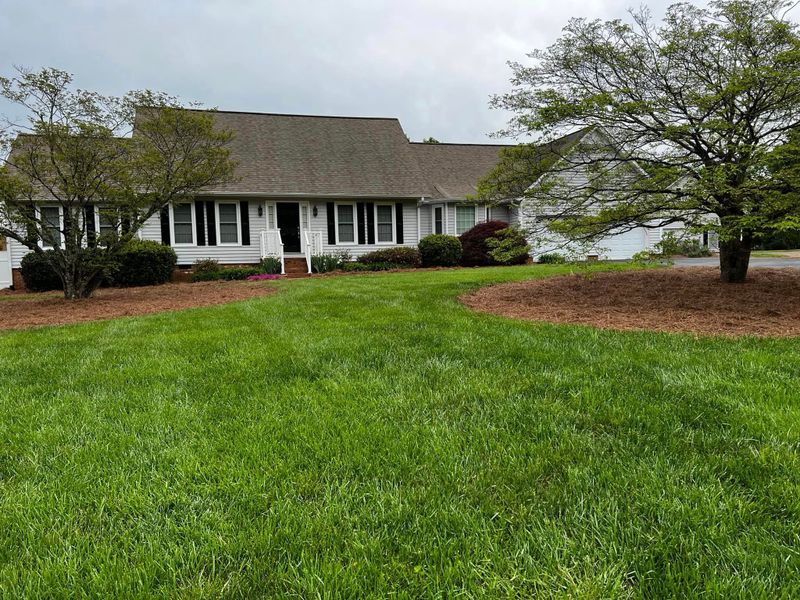 Tree Removal gallery