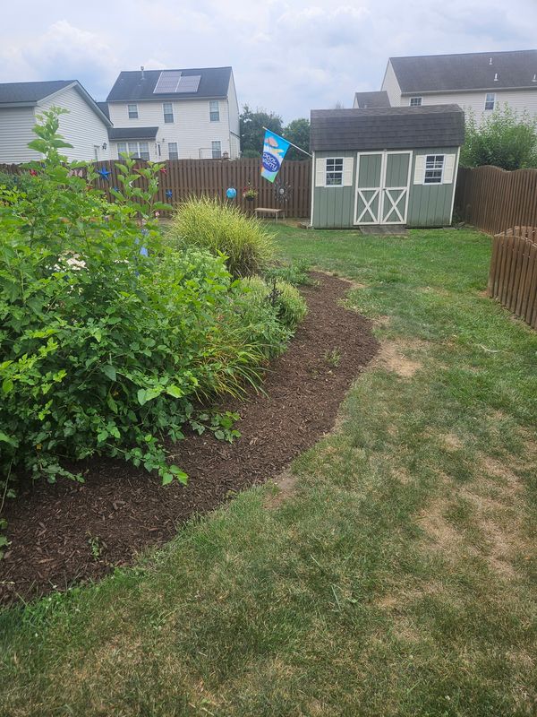 Hedge Trimming