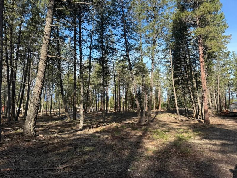 Land Clearing