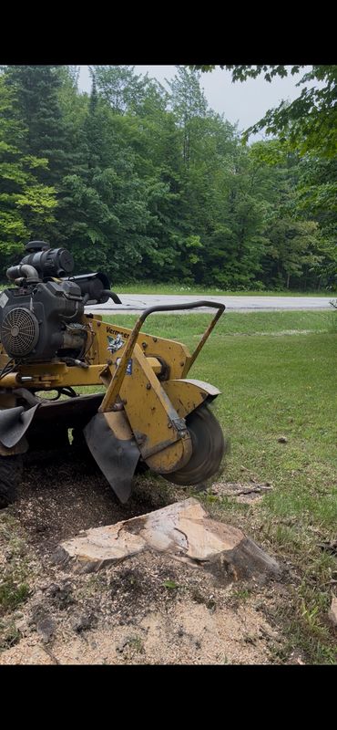 Stump Grinding and Removal