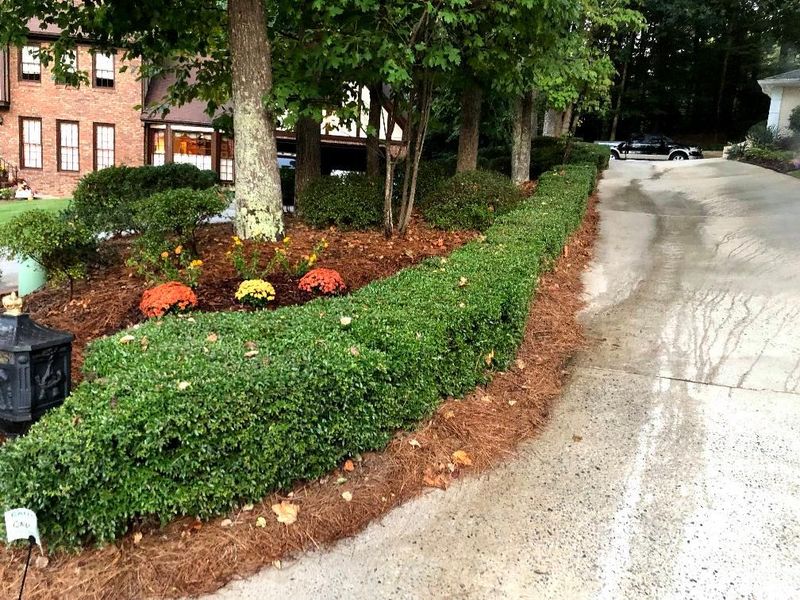 Patios & Hardscapes