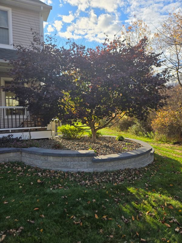 Complete Landscaping Design