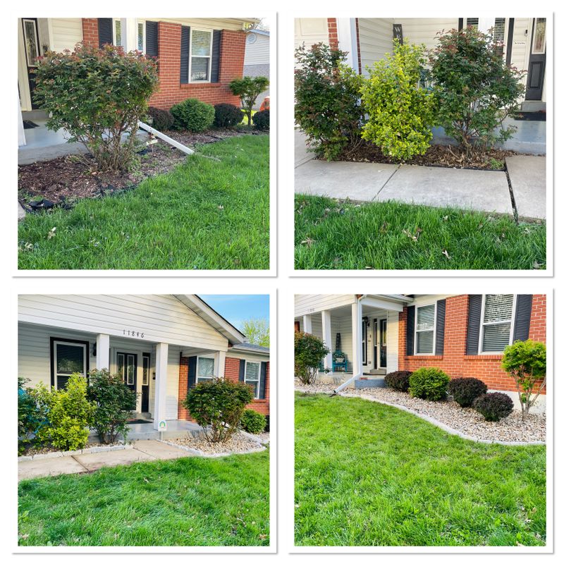 Hedge Trimming