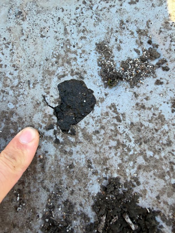 Roofing Repairs