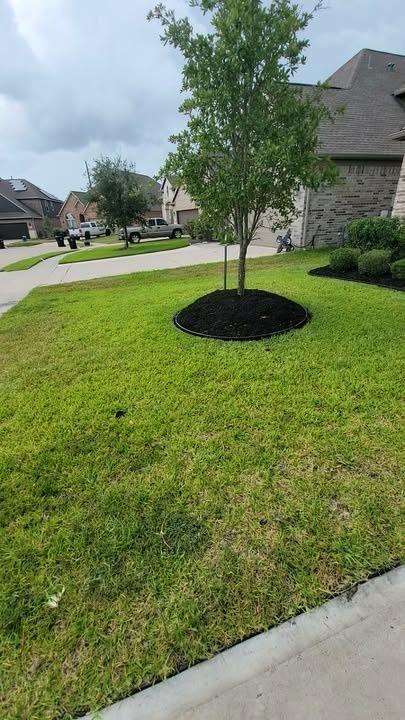 Lawn Mowing
