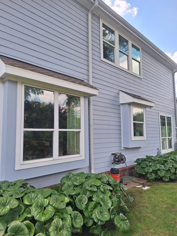 Window Cleaning