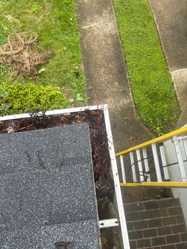 Gutter cleaning/ powerwashing/ soft washing