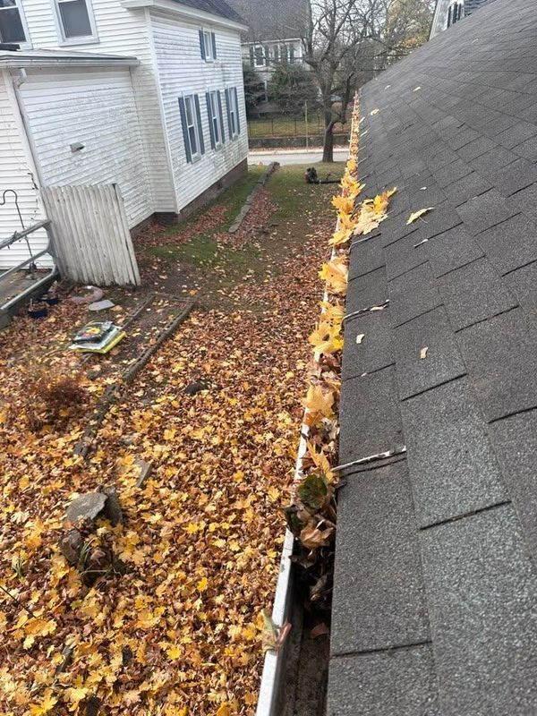 Fall Clean Up