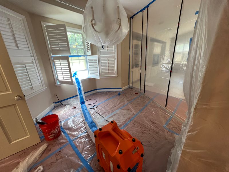 Mold Remediation