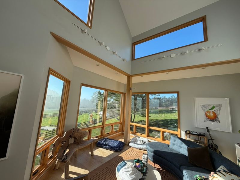 Windows & Doors