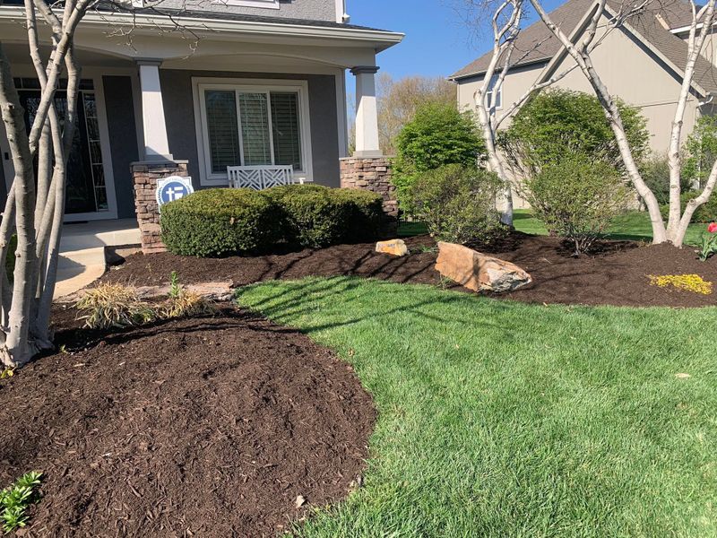 Lawn Care and Maintenance