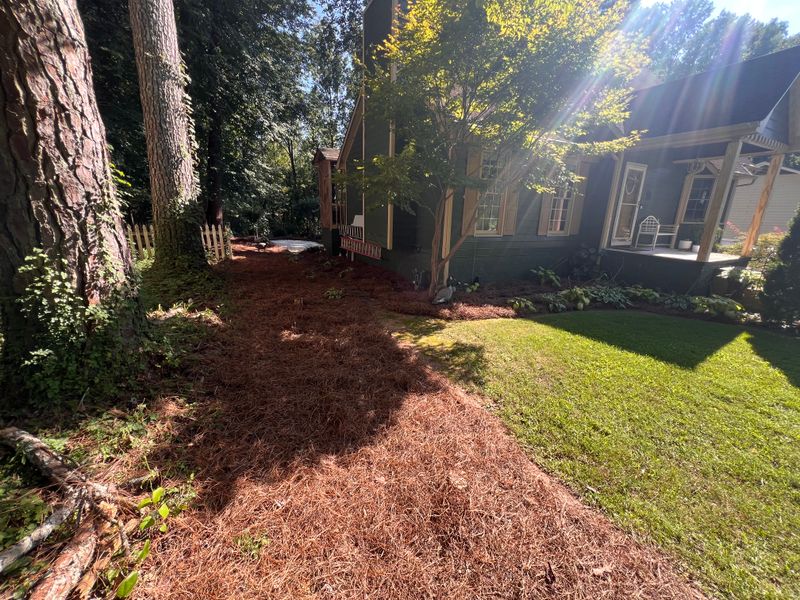 Mulch Installation