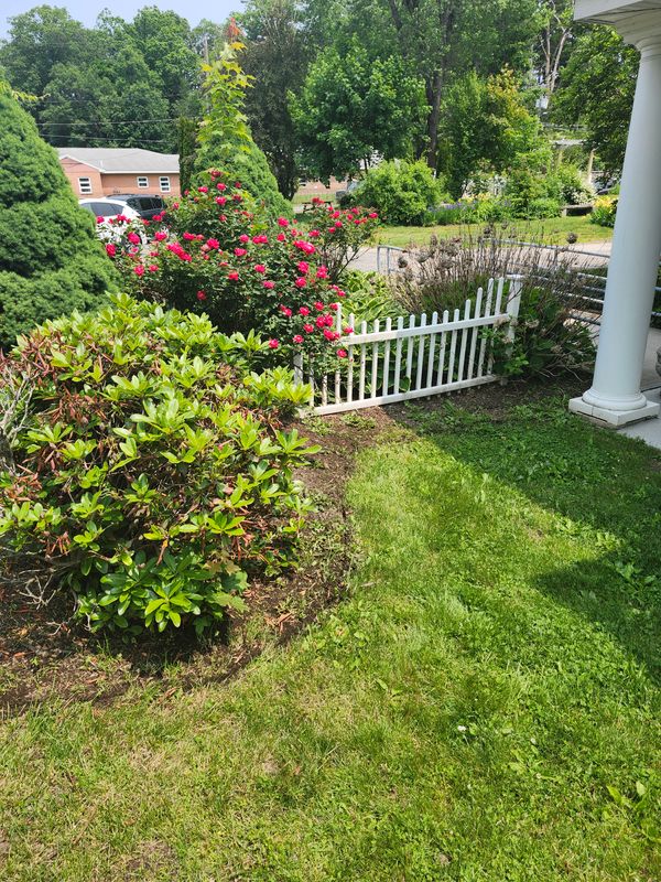 Muclhing & Weeding