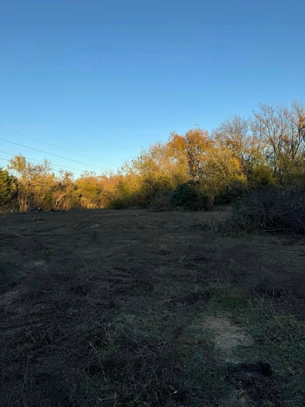 Land Clearing