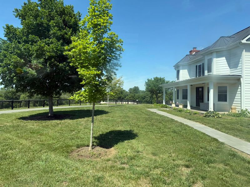 Tree & Shrub Care