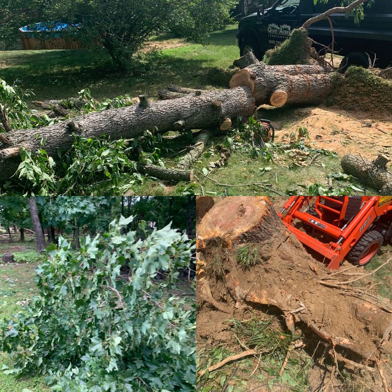 Landscape Design & Construction