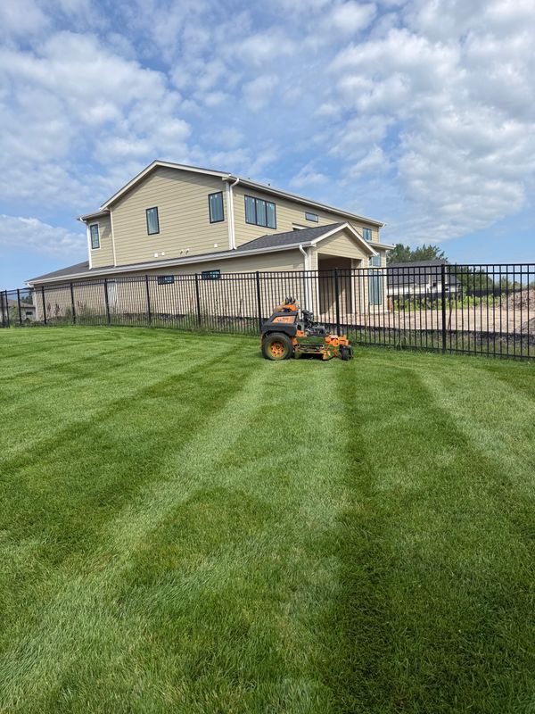 Lawn Maintenance