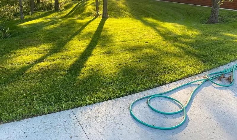 Erosion control / Hydroseeding gallery