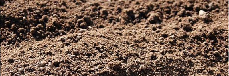 Dirt Work