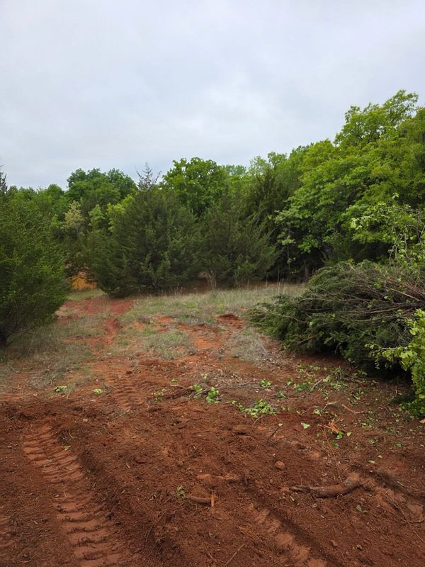 Land Clearing and Development
