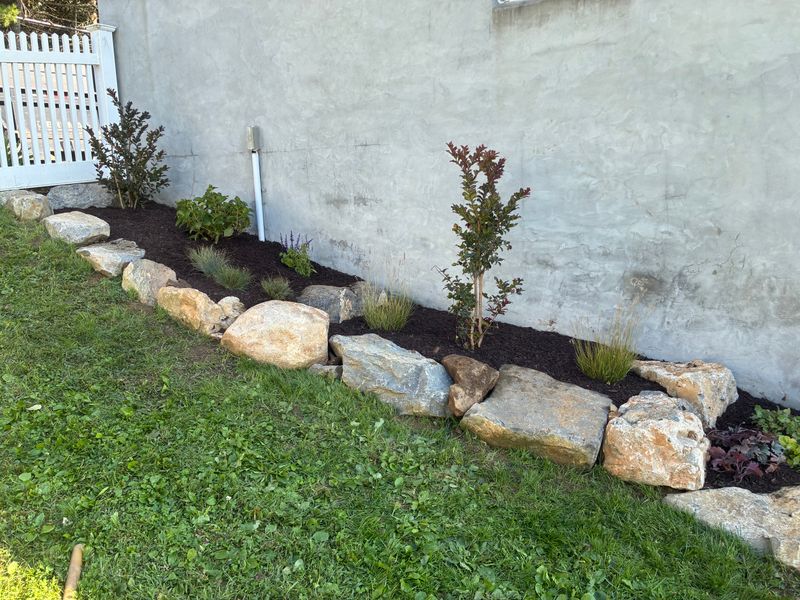 Landscape Design & Installation