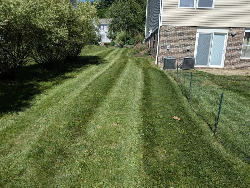 Lawn Maintenance