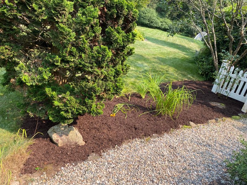 Lawn Maintenance