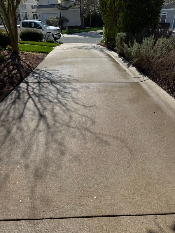 Driveway Cleaning