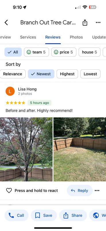 Revitalizing Green Spaces: Comprehensive Tree Care in Stafford, Virginia