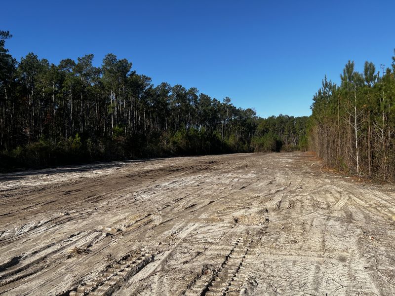 Land Clearing