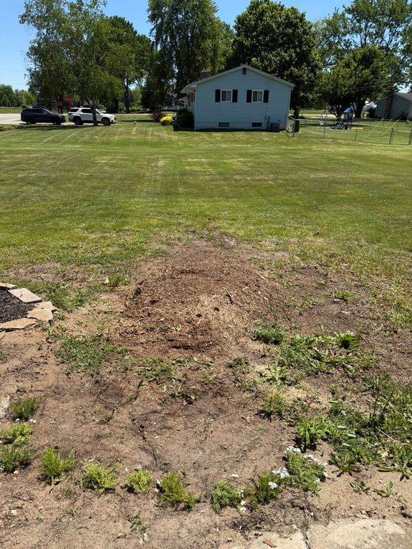 Stump Removal gallery