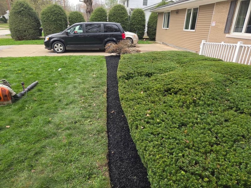 Landscaping