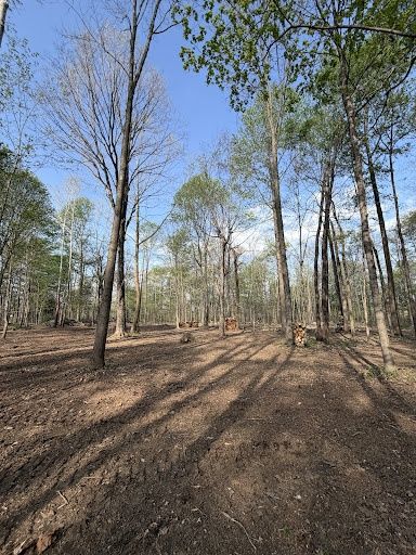 Land Clearing