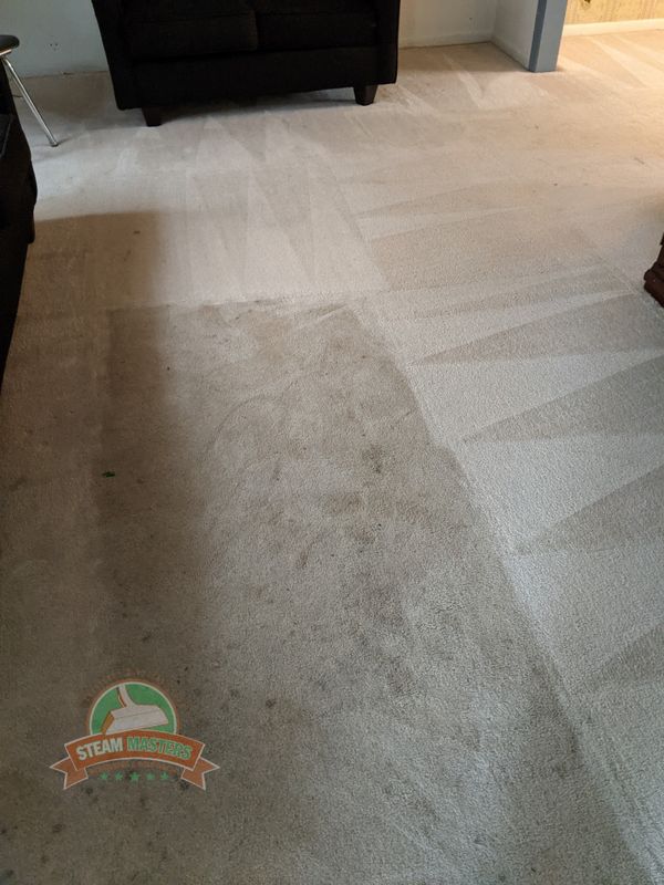 Carpet Cleaning