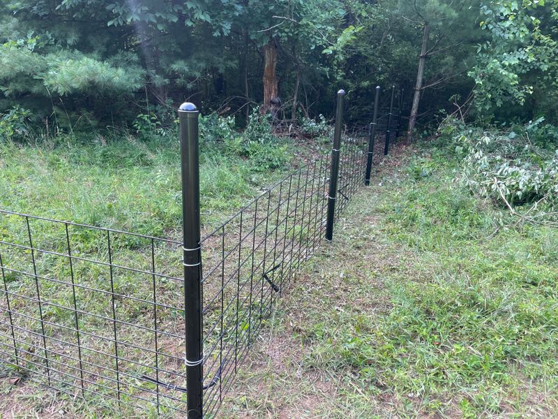 Commercial Fencing
