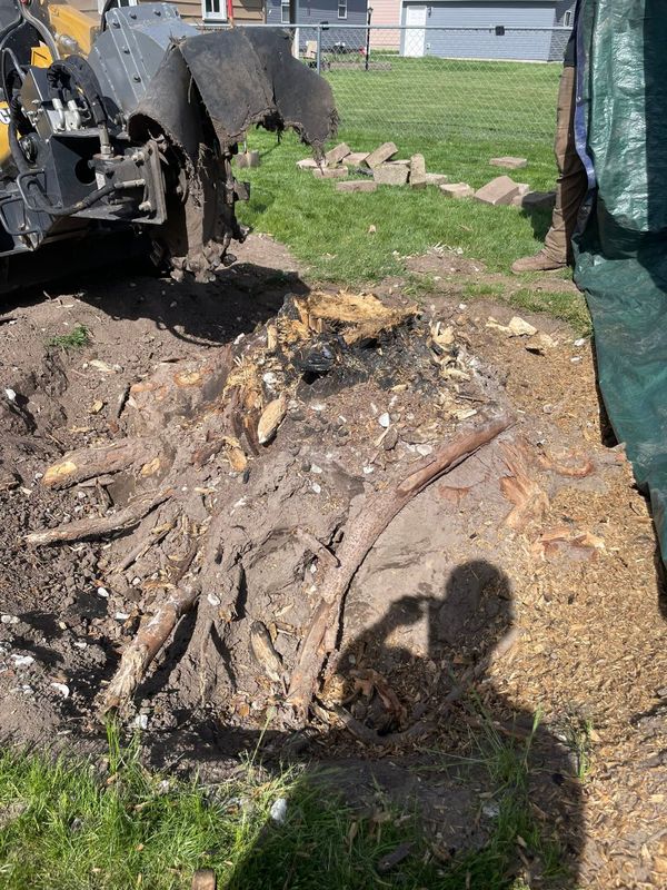 Stump Removal